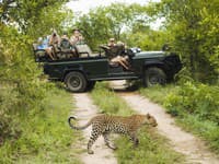 Krugerov národný park - to najlepšie safari v srdci africkej divočiny