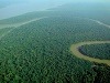Amazonský prales, Brazília