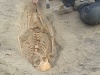 Archeológovia v Peru objavili