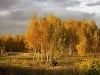 Jesenná atmosféra v ruskej