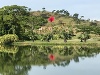 Dielo Dielo