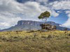 Stolová hora Roraima -