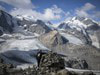 Masív Bernina s ľadovcami
