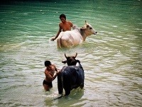 Barma