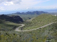 Route 66