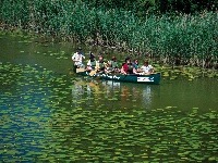 Národný park Donau-Auen, Rakúsko