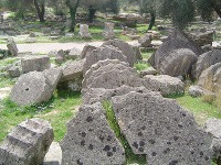 Olympia, Diov chrám