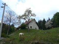 Špania dolina