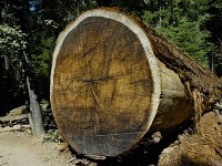 Národný park Sequoia, USA
