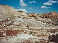 Skamenený les, USA