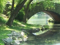 Central Park, New York