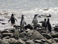Patagónia