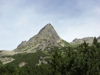 Mengusovský Volovec