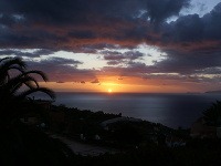 Madeira