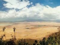 Kráter Ngorongoro, Tanzánia