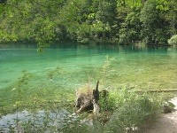 Plitvické jazerá, Chorvátsko