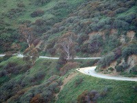 Kaňon Runyon, Los Angeles