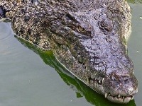 Langkawi, Malajzia
