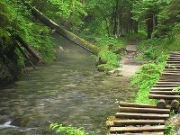 Slovenský raj