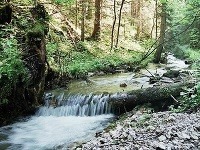 Slovenský raj