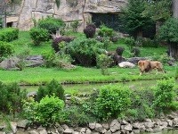 Zoo Zlín, Česká republika