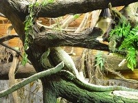 Zoo Zlín, Česká republika