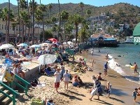 Ostrov Santa Catalina, Kalifornia, USA