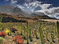 Kanárske ostrovy - Gran Canaria a Tenerife, Španielsko