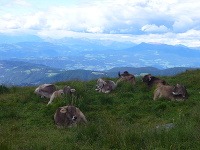 Dolomity, Taliansko