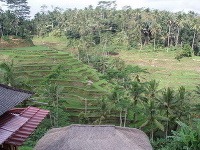 Bali, Indonézia