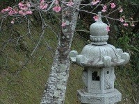 Okinawa, Japonsko