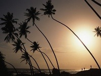 Srí Lanka