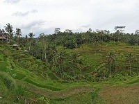 Bali, Indonézia