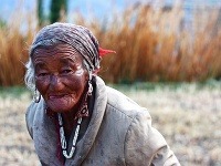 Zberačka vysušených kravských výkalov, India