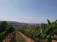 Hlohovec