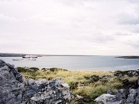 Prístav Wiliam, Falklandské ostrovy