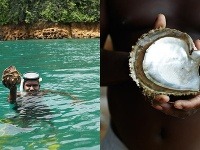 Novodobé hľadanie pokladov - perlorodiek, Panama