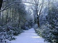 Arborétum Mlyňany