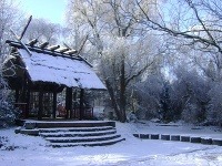 Arborétum Mlyňany 