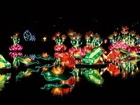 Rotterdamský festival čínskych svetiel, Holandsko