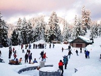 Grouse Mountain, Vancouver, Kanada