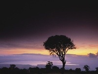Kráter Ngorongoro, Tanzánia