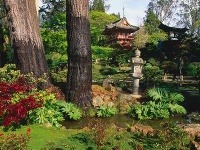 Golden Gate Park, Francisco