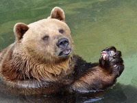 Zoo Bojnice
