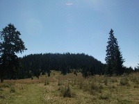 Choč