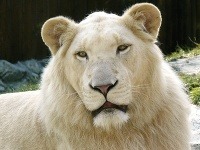 ZOO Bratislava