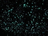 Waitomo Cave, Nový Zéland