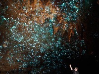 Waitomo Cave, Nový Zéland