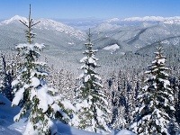 Demänovská dolina, Nízke Tatry