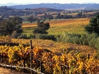 Sonoma Valley, Kalifornia, USA